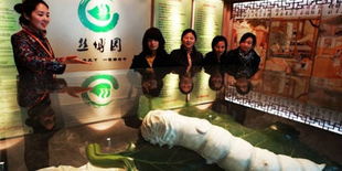 中国丝绸文化旅游景区丝博园门票