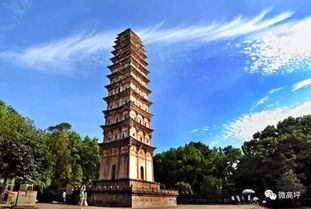 乘势而上 南充高坪奋力冲刺 双过半