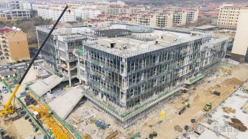 城市 大学 日照这一项目建设进展来了