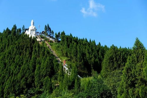 耍点默契游戏,我说四川,你说