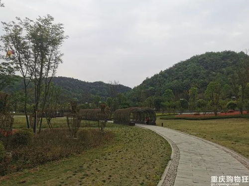 免费的重庆花博园好适合春游 能搭帐篷 放风筝 拍城堡美照