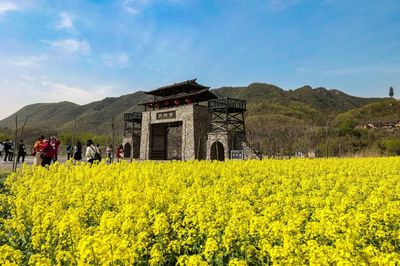 "醉"美南漳四月!最好的风景都在路上