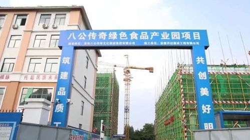 重点项目 五比 赛马八公传奇绿色食品工贸产业园项目建设按下 加速键
