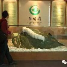 苏州丝绸,当初谁将你抛弃?现在谁将你救起?