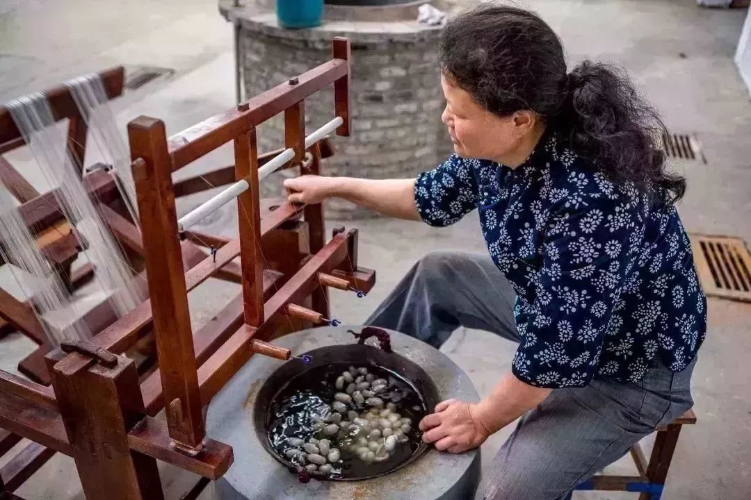 亲子|带着孩子去"丝博园"野外探险,和动物亲密互动_时尚_网