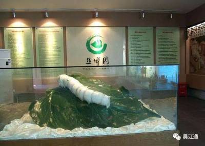 【我的自述】 我与盛泽丝绸文化节