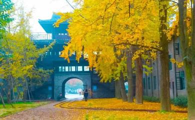 四川高坪:一幅山水画卷迎面来