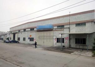 工业园2100方简易厂 一仓过实用 大马路边电大